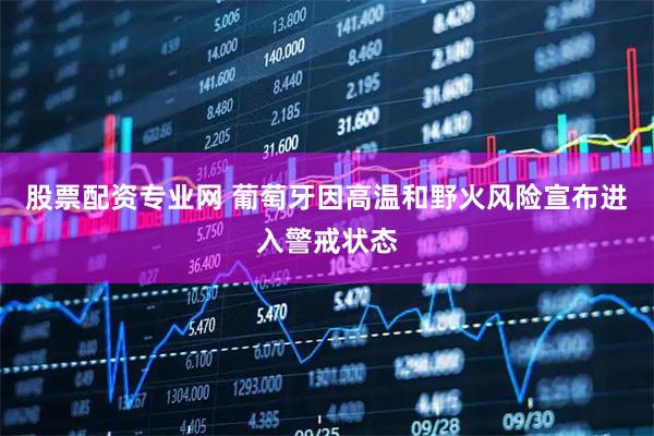 股票配资专业网 葡萄牙因高温和野火风险宣布进入警戒状态